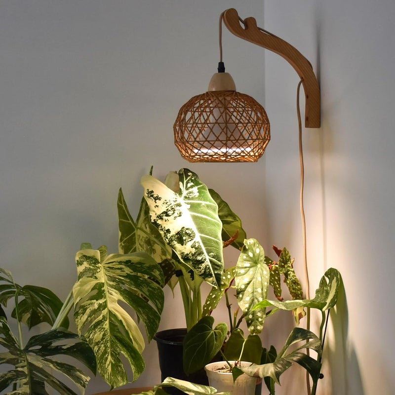 Bstrip Hanging Grow Lights for Indoor Plants, 18W Full Spectrum, Boho Rattan Lantern Shade, 3800K Wall-Mounted Decorative Plant Light with 9.8FT Power Cord, Ideal for Tall Plants, Flowers - Image 1